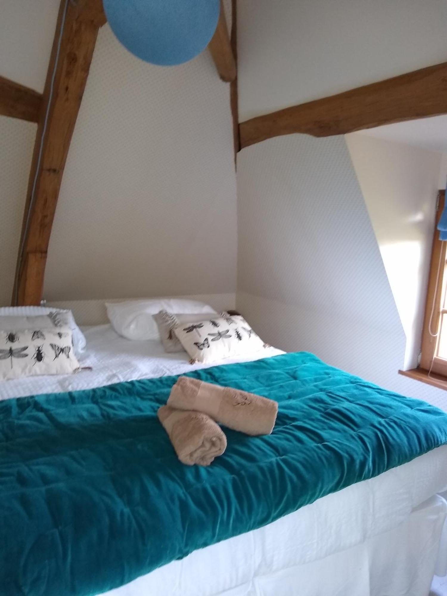 Domaine De La Vaudouriere Villa Lunay Værelse billede