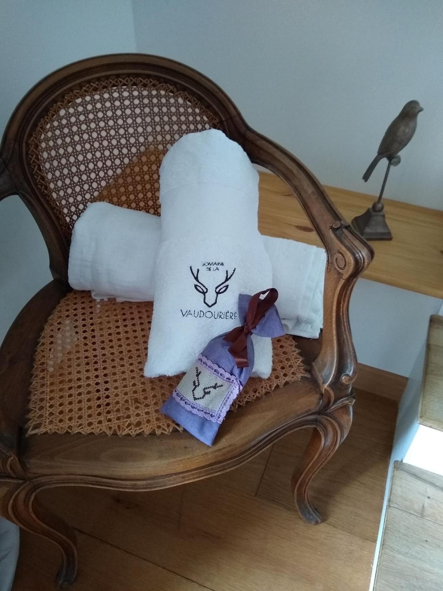 Domaine De La Vaudouriere Villa Lunay Værelse billede